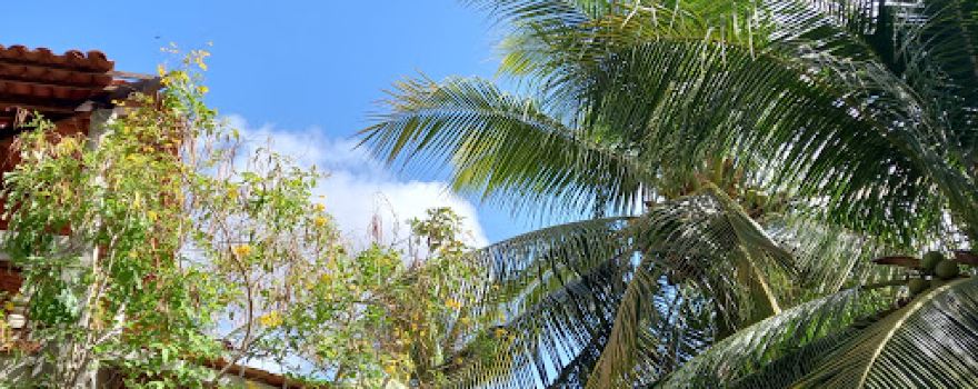 Parque Ecológico Olho D'água dos Currais