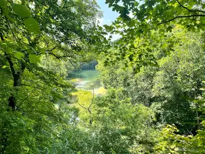 Ha Ha Tonka Spring