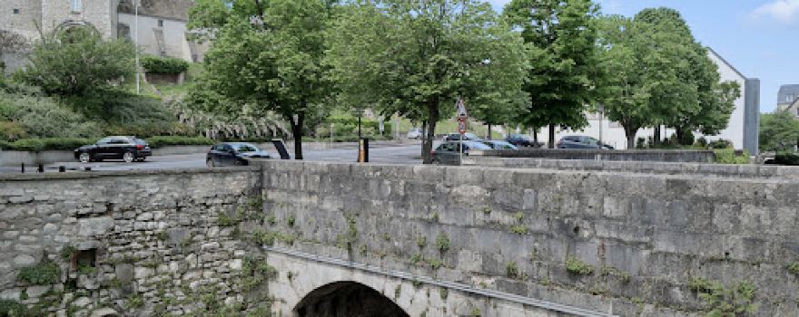 Le Vernisson