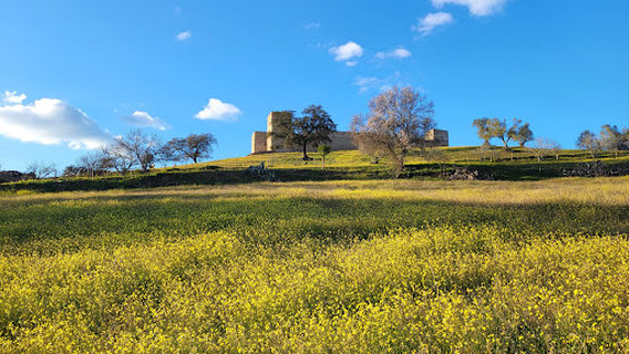 Castillo de El Real de la Jara