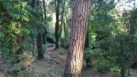 Parco San Lorenzo