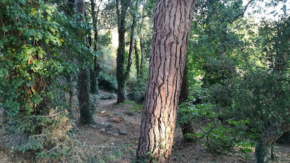 Parco San Lorenzo
