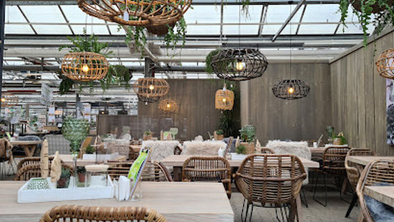 Blumen Risse Gartencenter Lünen