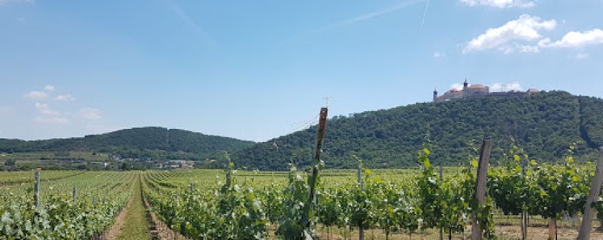 Vorderwald