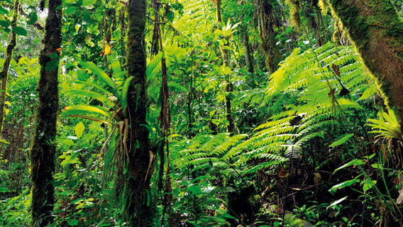 San Felipe El Fuerte Park