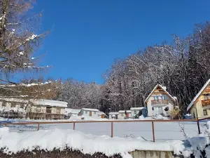 Remata