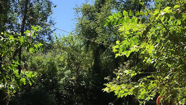 Yuvarlakçay OKALİPTÜS Kamp Ve Piknik Alanı