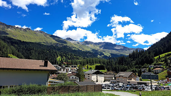 Plessur District