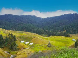 Kedar Dhunga