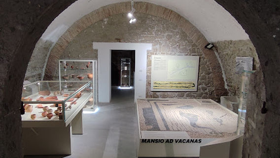 Museo Civico