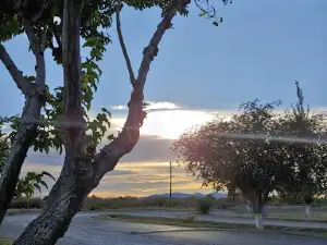 Cougar Park