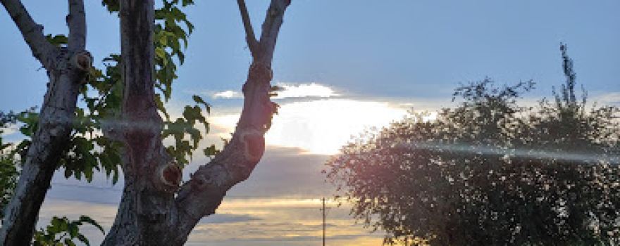 Cougar Park