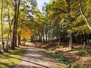 Wildpark Völlinghausen