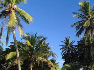 Esterillos Beach