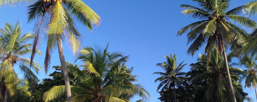 Esterillos Beach