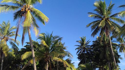 Esterillos Beach