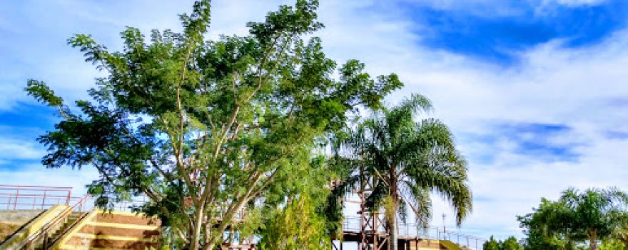 "Parque del Centenario"