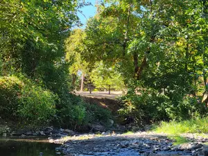 Dallas City Park