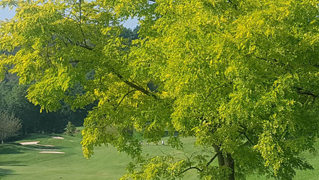 Real Nuevo Club Golf Basozabal