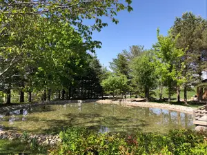 Japanese Park