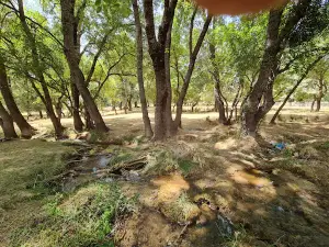 Ain Vittel عين فيتال
