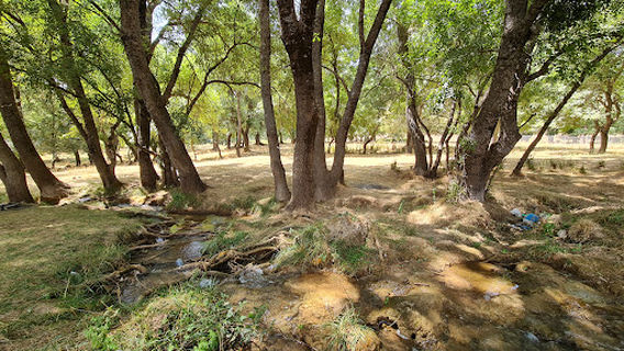 Ain Vittel عين فيتال