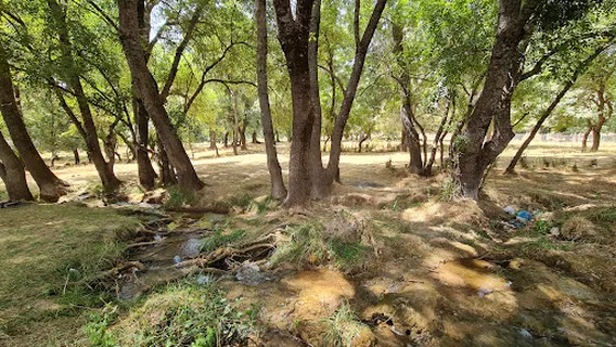 Ain Vittel عين فيتال