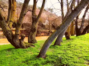 Parque de La Isla