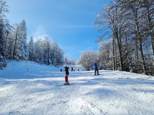 Ski station Ski Park Magura