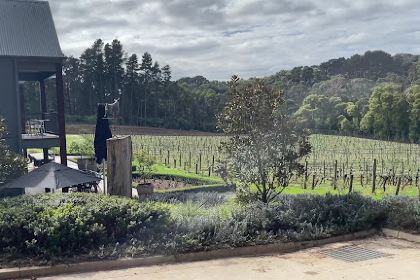 Quattro at The Epicurean Mantons Creek