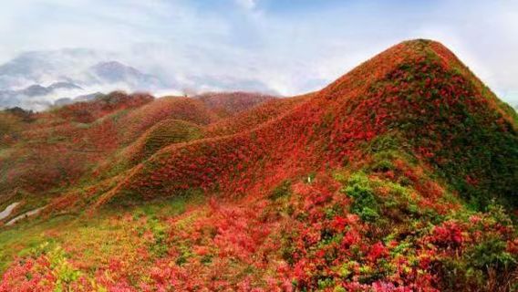 Yihuang County Furong Mountain Scenic Area