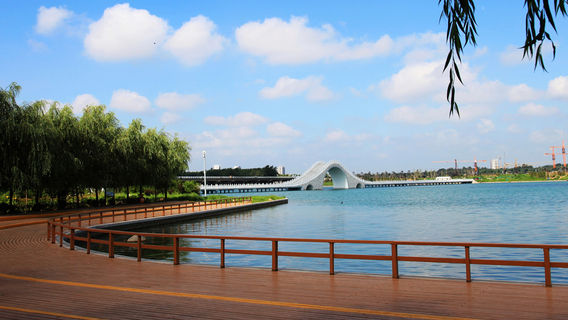 Weishuifengqing Wetland Park