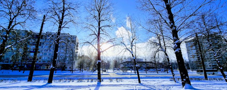 Polyustrovsky Park