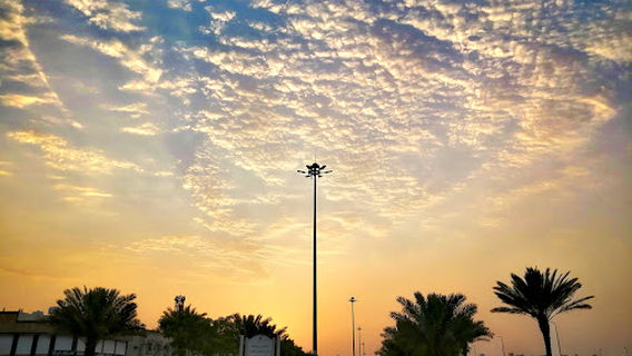 Medina