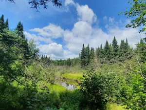 Miramichi Treehouse & Camping Adventures