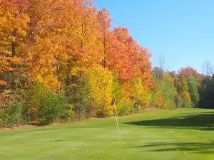 The Fox Golf Club