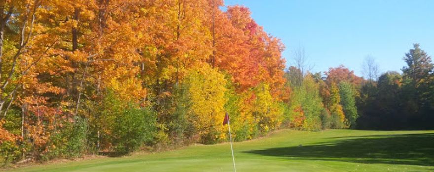 The Fox Golf Club