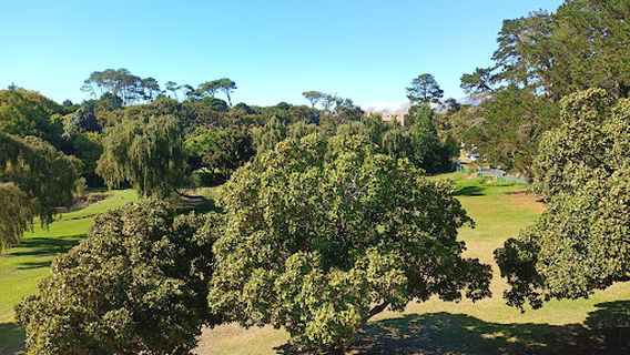 Schoenstatt Retreat and Conference Centre