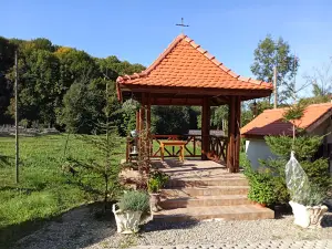 Mănăstirea Șinca Nouă