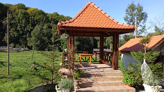 Mănăstirea Șinca Nouă