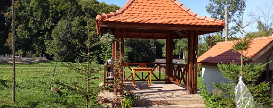 Mănăstirea Șinca Nouă