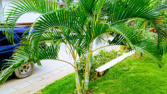 West Bay Golf Club and Villas