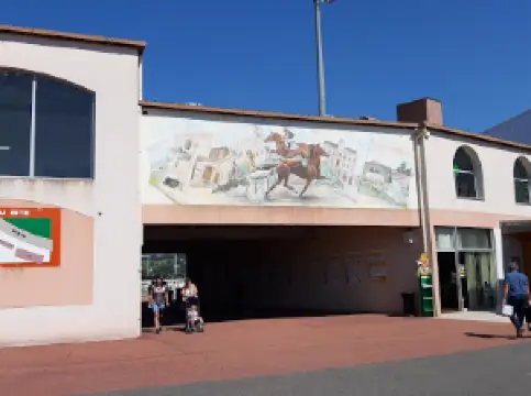 Saint Galmier Hippodrome (Joseph Desjoyaux)