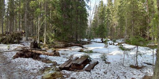 Sallaajärvi Nature Trail