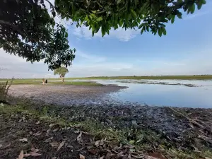 Danau Palem Raya