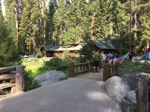 Giant Forest Museum