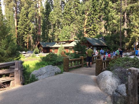 Giant Forest Museum