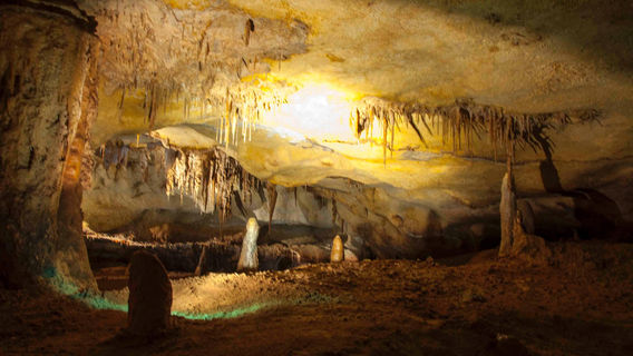 Naracoorte Caves National Park