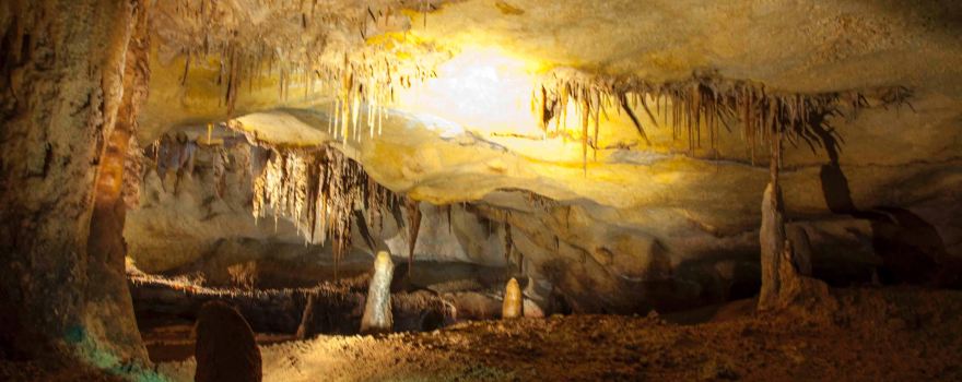 Naracoorte Caves National Park