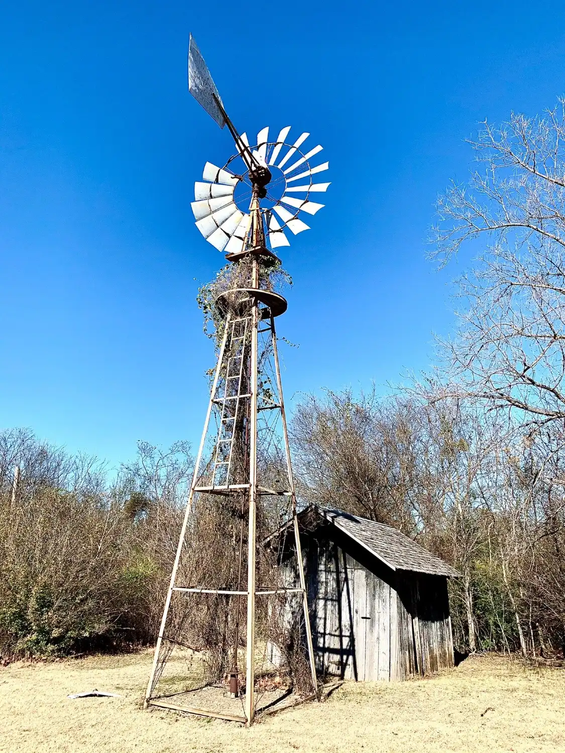 Hotels near Cedar Hill State Park